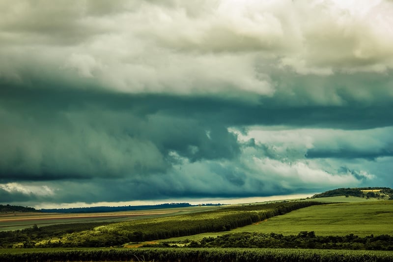 Temporal Investigators